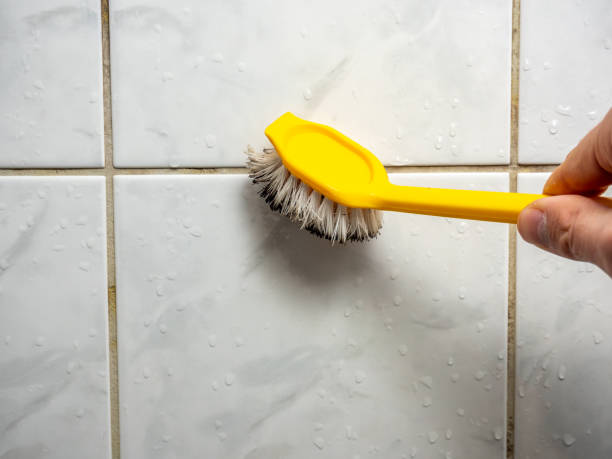 Best Water Damage Restoration  in Murphy, MO