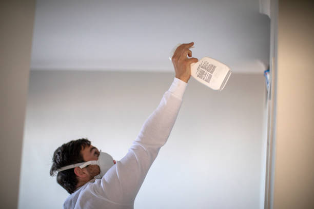 Best Local Mold Removal Service  in Murphy, MO
