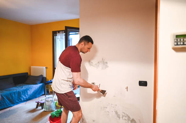 Best Certified Mold Removal  in Murphy, MO